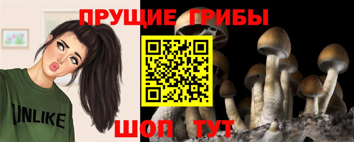 Псилоцибиновые грибы ЛСД  Галлюциногенные грибы мицелий  купить   Бузулук  Вход с VPN 